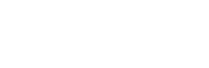 logo perfect bio domus blanco